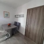 Apartment Odlicno Opremljeni Novouredeni Iva, Okrug Gornji *